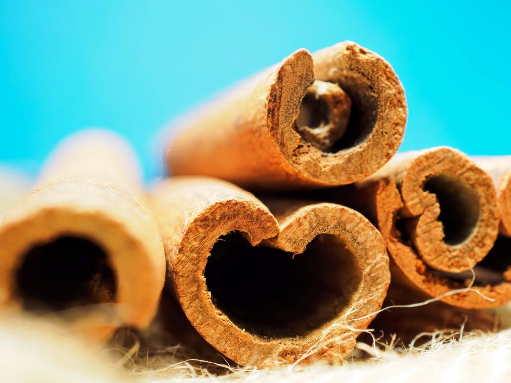 Cinnamon | Healthy Food for Immunity | Camella Manors