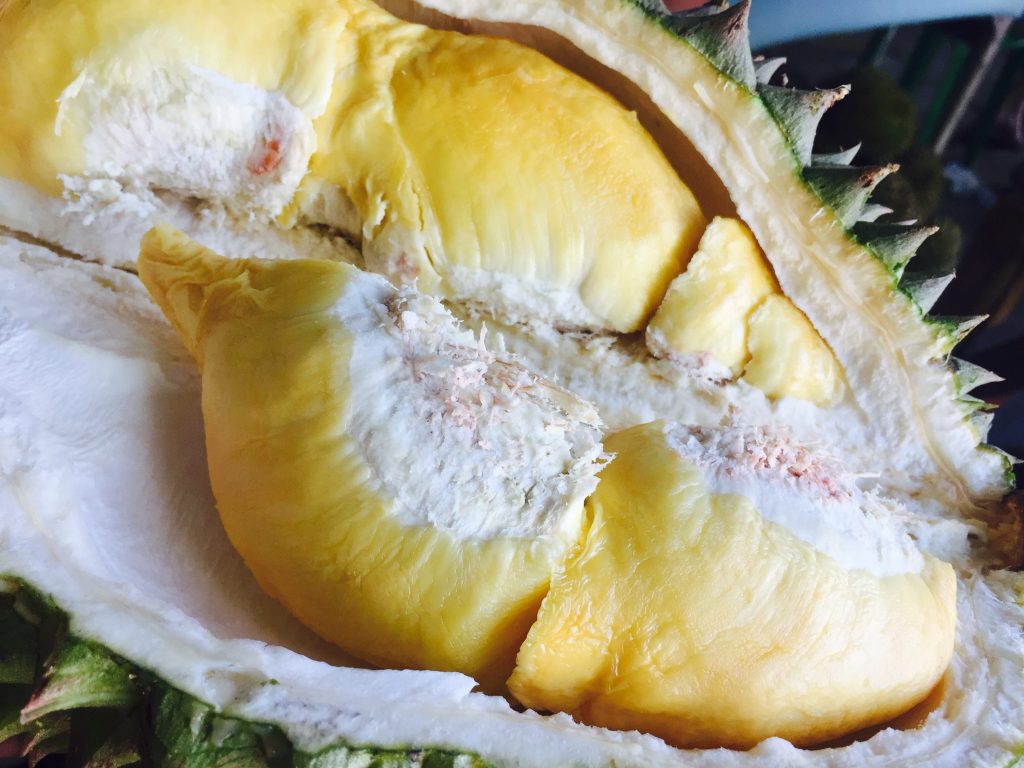 Durian Fruit | Ultimate Davao Food Guide | Camella Manors