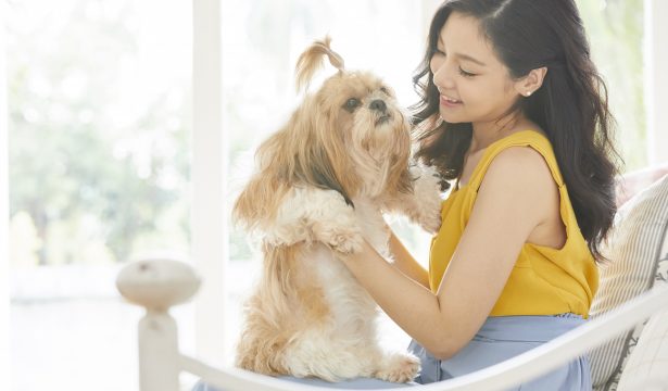 Best Things to Do with your Pets in a Pet-friendly condo in Caloocan - Camella Manors Caloocan