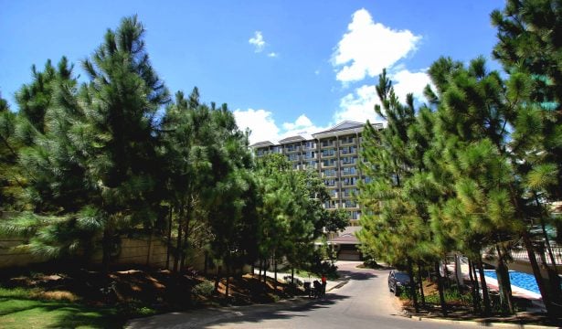 Experience Pine-Estate Condo Living with hundreds of Caribbean Pine Trees in Camella Manors | Pine-Estate Condo in the Philippines