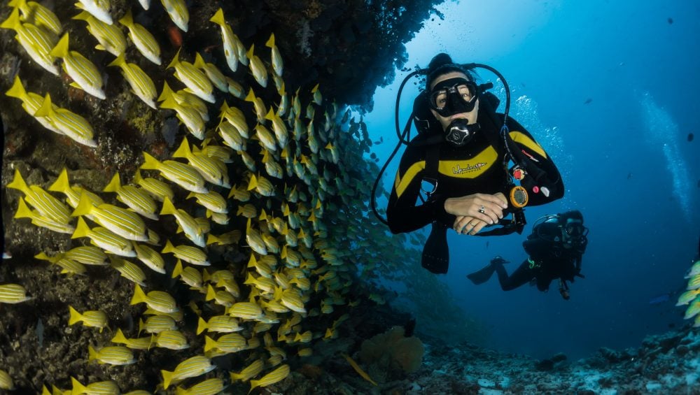 Philippines Best Diving Spots 2021