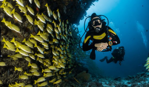 Philippines Best Diving Spots 2021